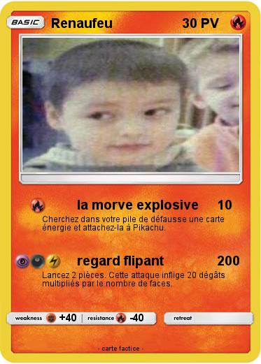 Pokemon Renaufeu