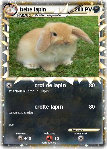 Pokemon bebe lapin