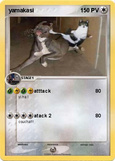 Pokemon yamakasi