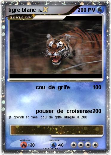 Pokemon tigre blanc