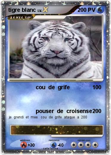 Pokemon tigre blanc