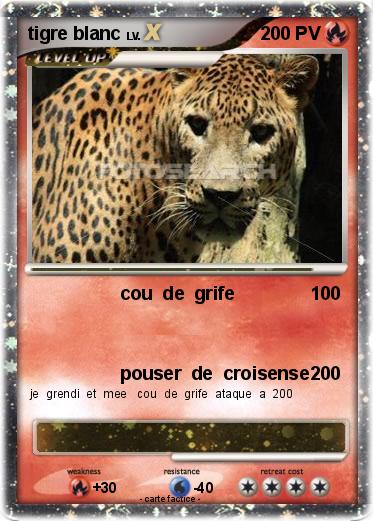 Pokemon tigre blanc