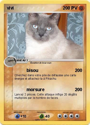 Pokemon vivi