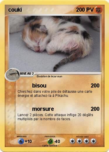Pokemon couki