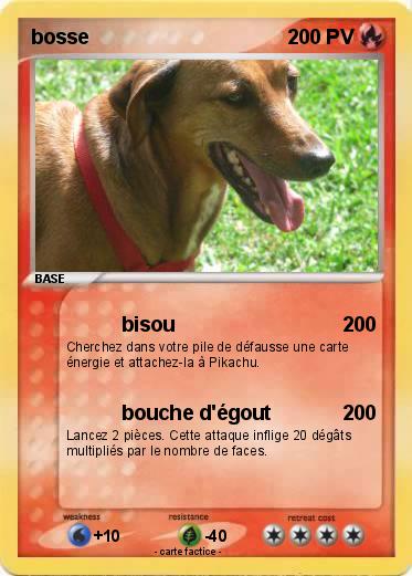 Pokemon bosse
