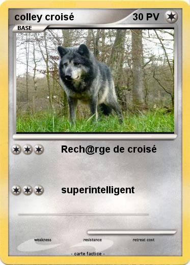 Pokemon colley croisé