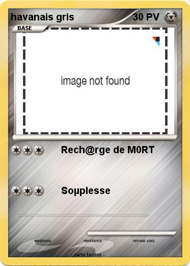 Pokemon havanais gris