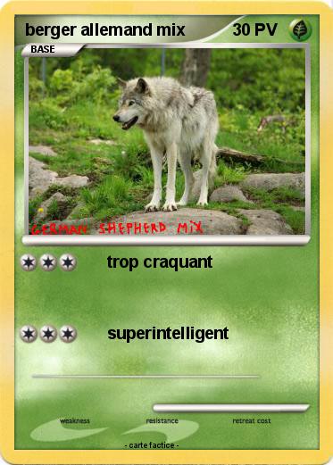 Pokemon berger allemand mix