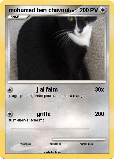 Pokemon mohamed ben chavoui