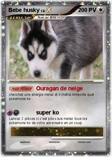Pokemon Bebe husky