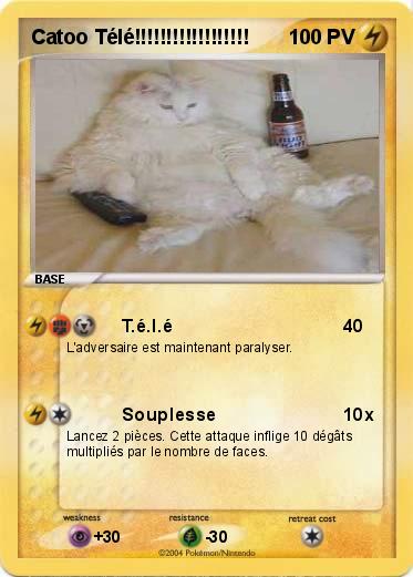 Pokemon Catoo Télé!!!!!!!!!!!!!!!!!!