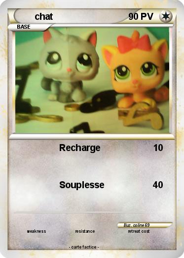 Pokemon chat