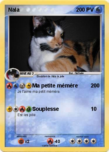 Pokemon Nala