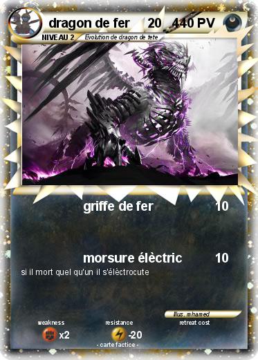 Pokemon dragon de fer     20   4