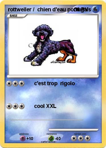 Pokemon rottweiler /  chien d'eau portugais