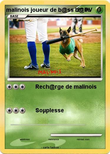 Pokemon malinois joueur de b@ss b@lle