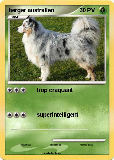 Pokemon berger australien