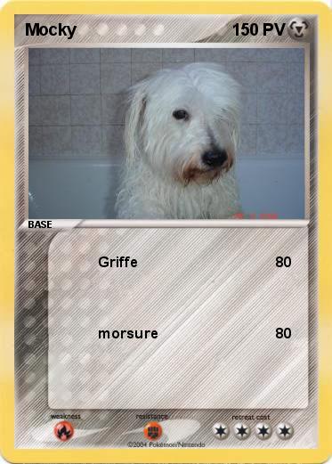 Pokemon Mocky              
