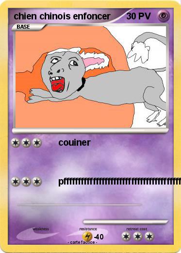 Pokemon chien chinois enfoncer