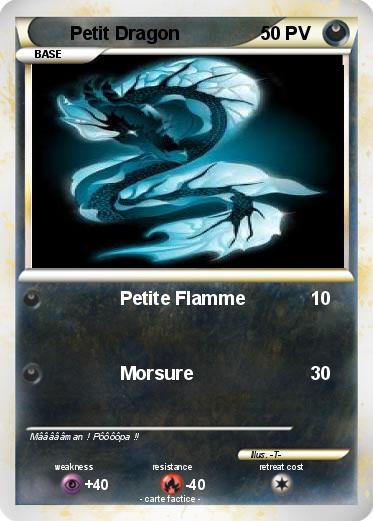 Pokemon Petit Dragon