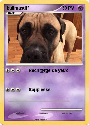 Pokemon bullmastiff