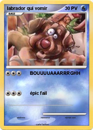 Pokemon labrador qui vomir