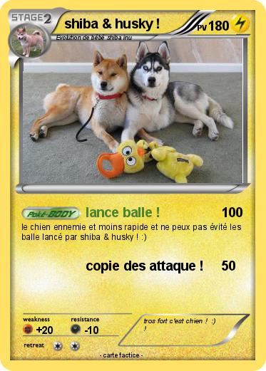 Pokemon shiba & husky !