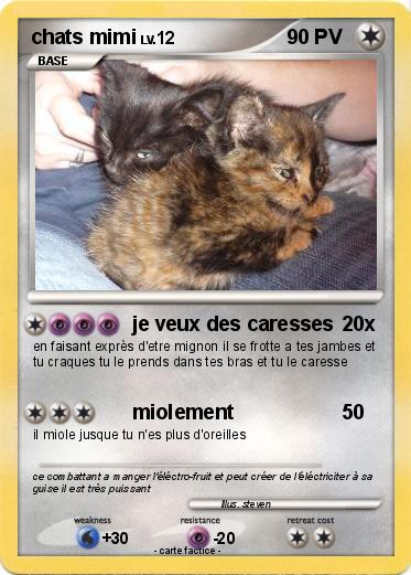 Pokemon chats mimi