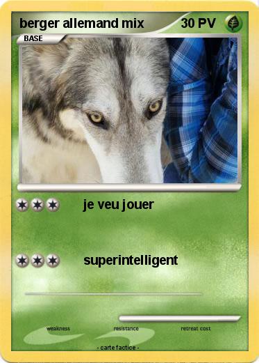 Pokemon berger allemand mix