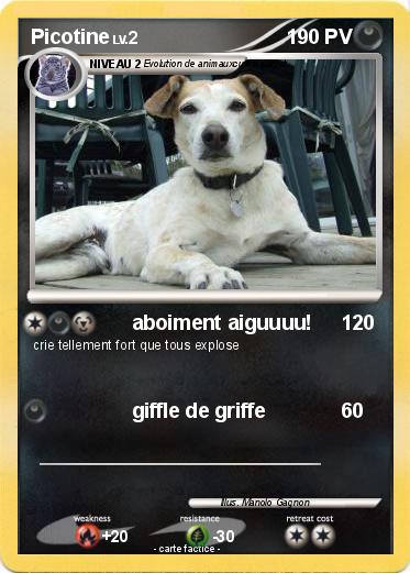 Pokemon Picotine