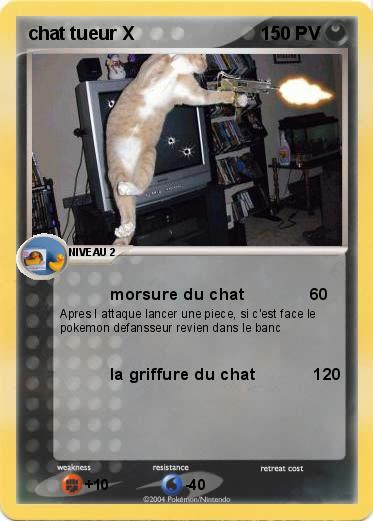 Pokemon chat tueur X