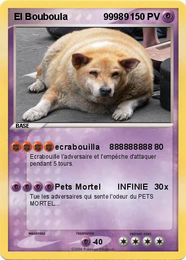 Pokemon El Bouboula              99989