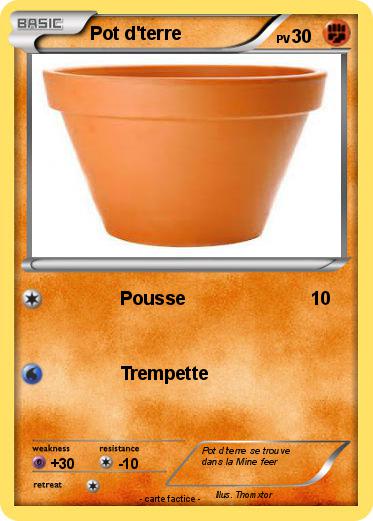 Pokemon Pot d'terre