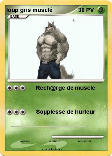 Pokemon loup gris musclé
