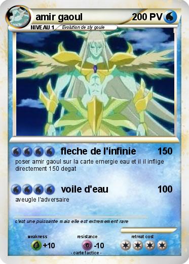 Pokemon amir gaoul