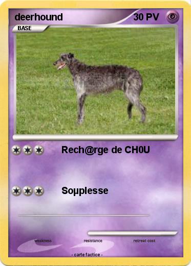 Pokemon deerhound