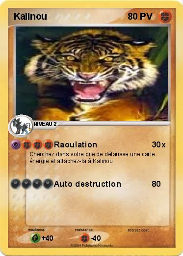 Pokemon Kalinou