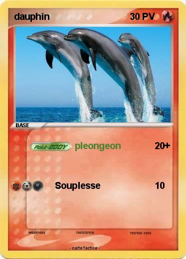 Pokemon dauphin