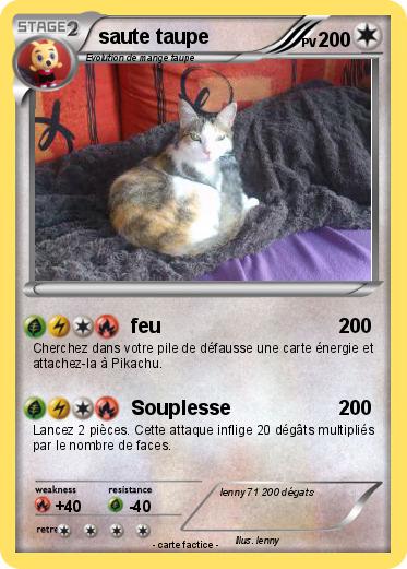 Pokemon saute taupe