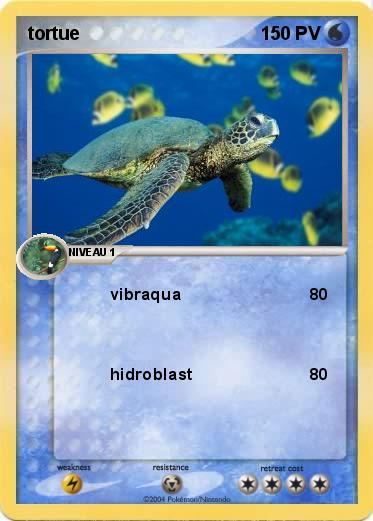 Pokemon tortue