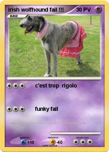 Pokemon irish wolfhound fail !!!