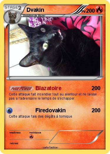 Pokemon Dvakin