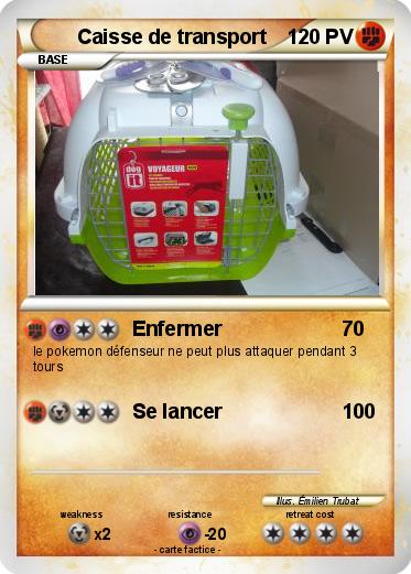 Pokemon Caisse de transport