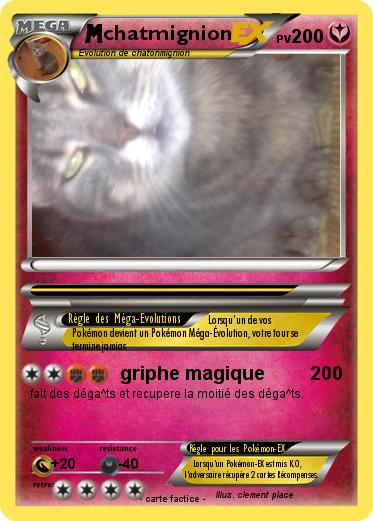 Pokemon chatmignion