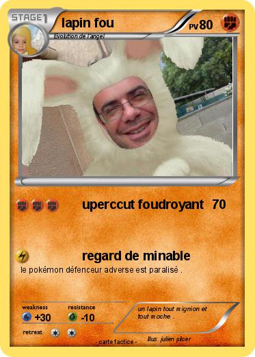 Pokemon lapin fou