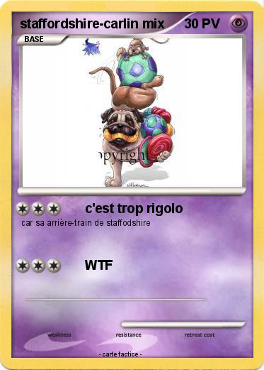 Pokemon staffordshire-carlin mix
