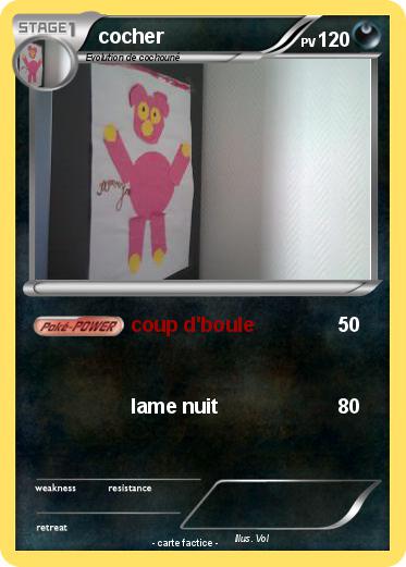 Pokemon cocher