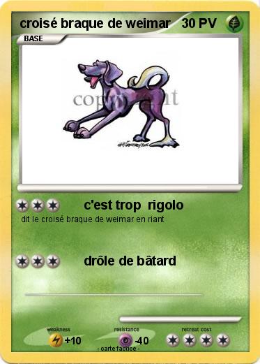 Pokemon croisé braque de weimar