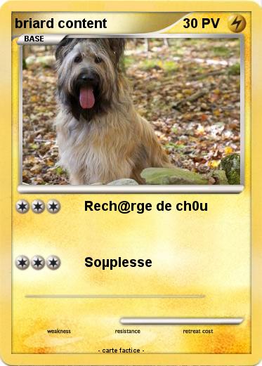 Pokemon briard content