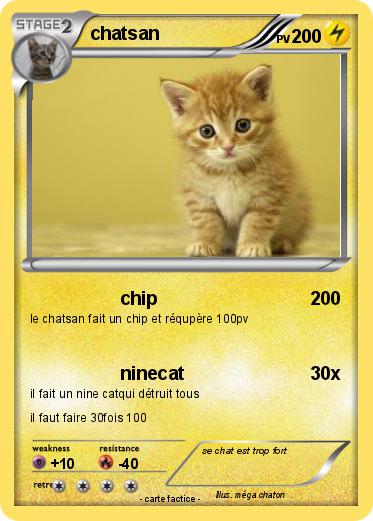 Pokemon chatsan